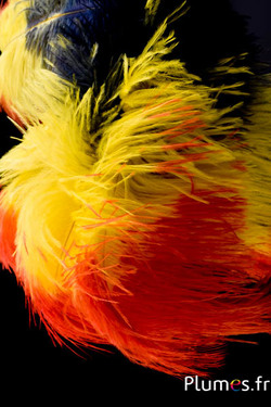 Autruche - 30-40 cm - anthracite-jaune-orange